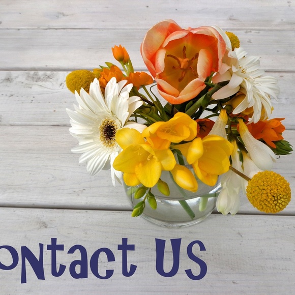 Meet your Posher, Mary - Picture 5 of 8